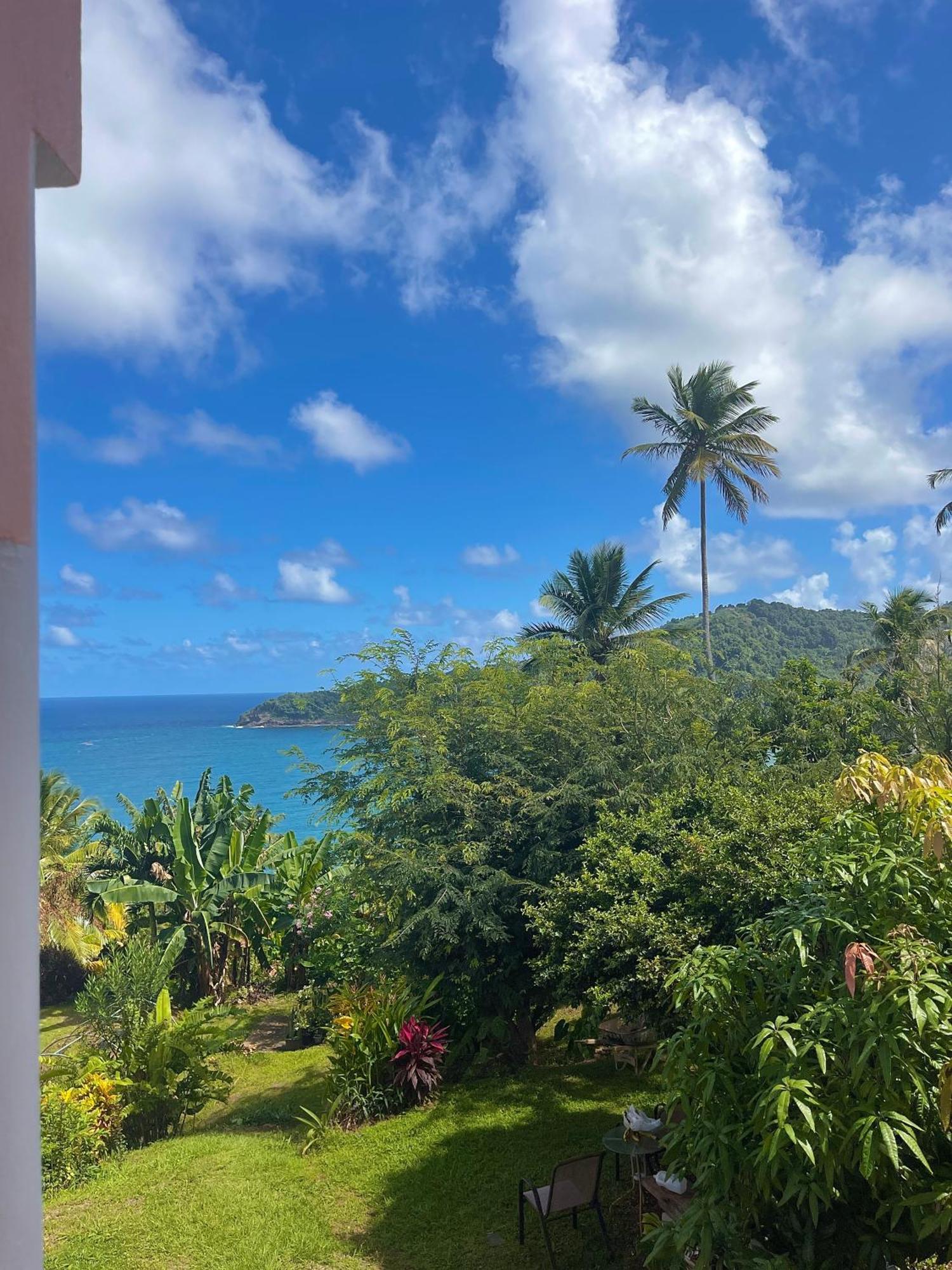Отель Happy Nest Dominica Мариго Экстерьер фото